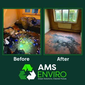 biohazard and needle sweep clearance